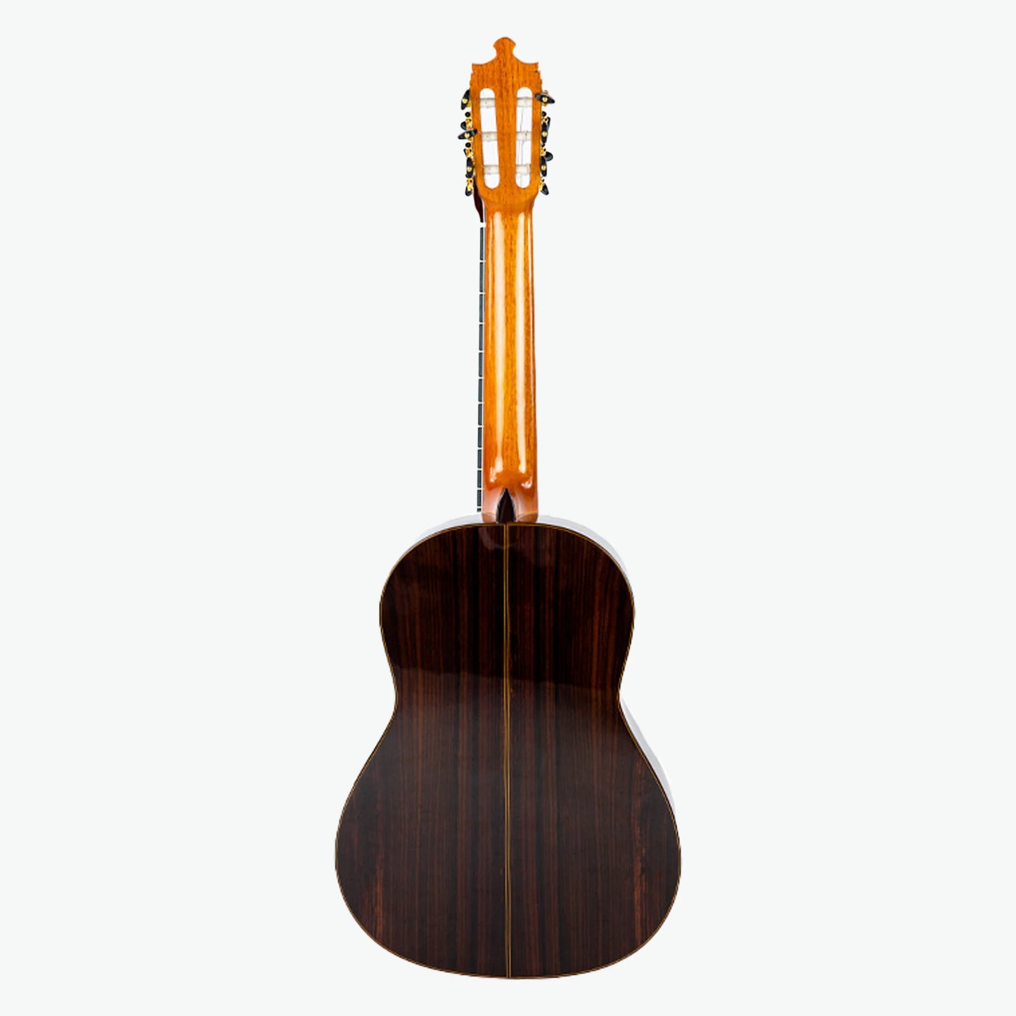Special Artisan Guitar 10 concert - Alvarez&Bernal