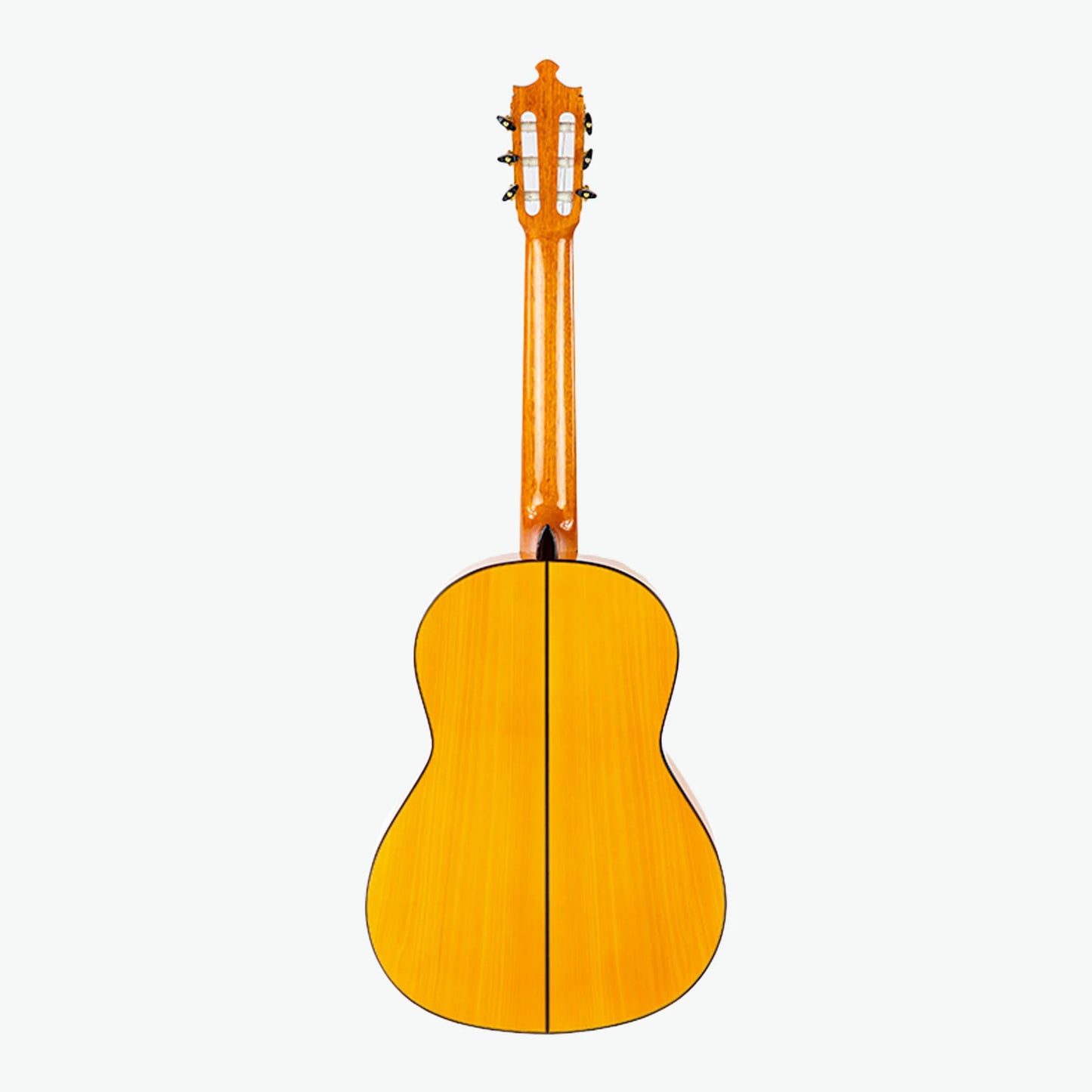 Special Handcrafted Guitar 10 fl - Alvarez&Bernal