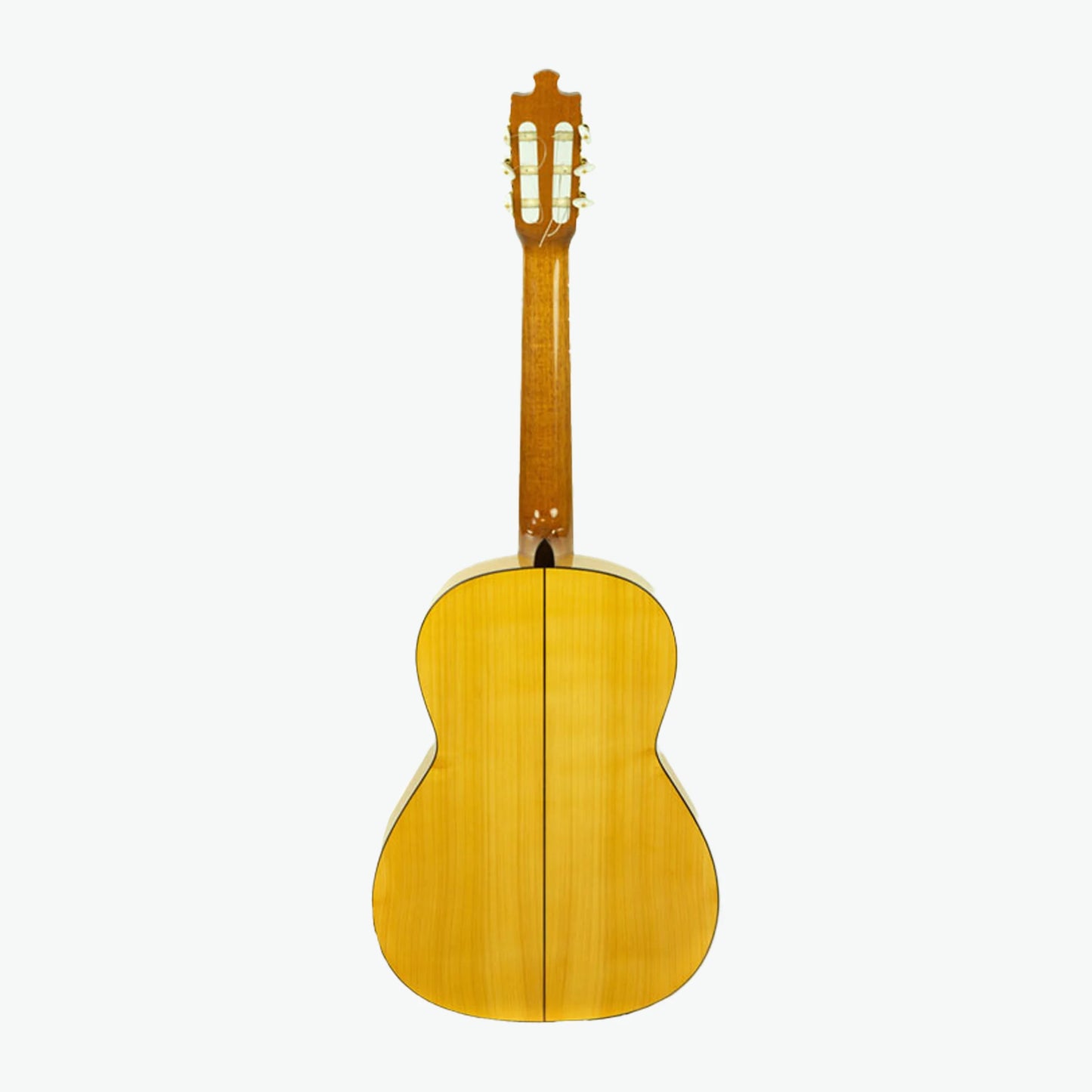 Special Handcrafted Guitar fl - Alvarez&Bernal