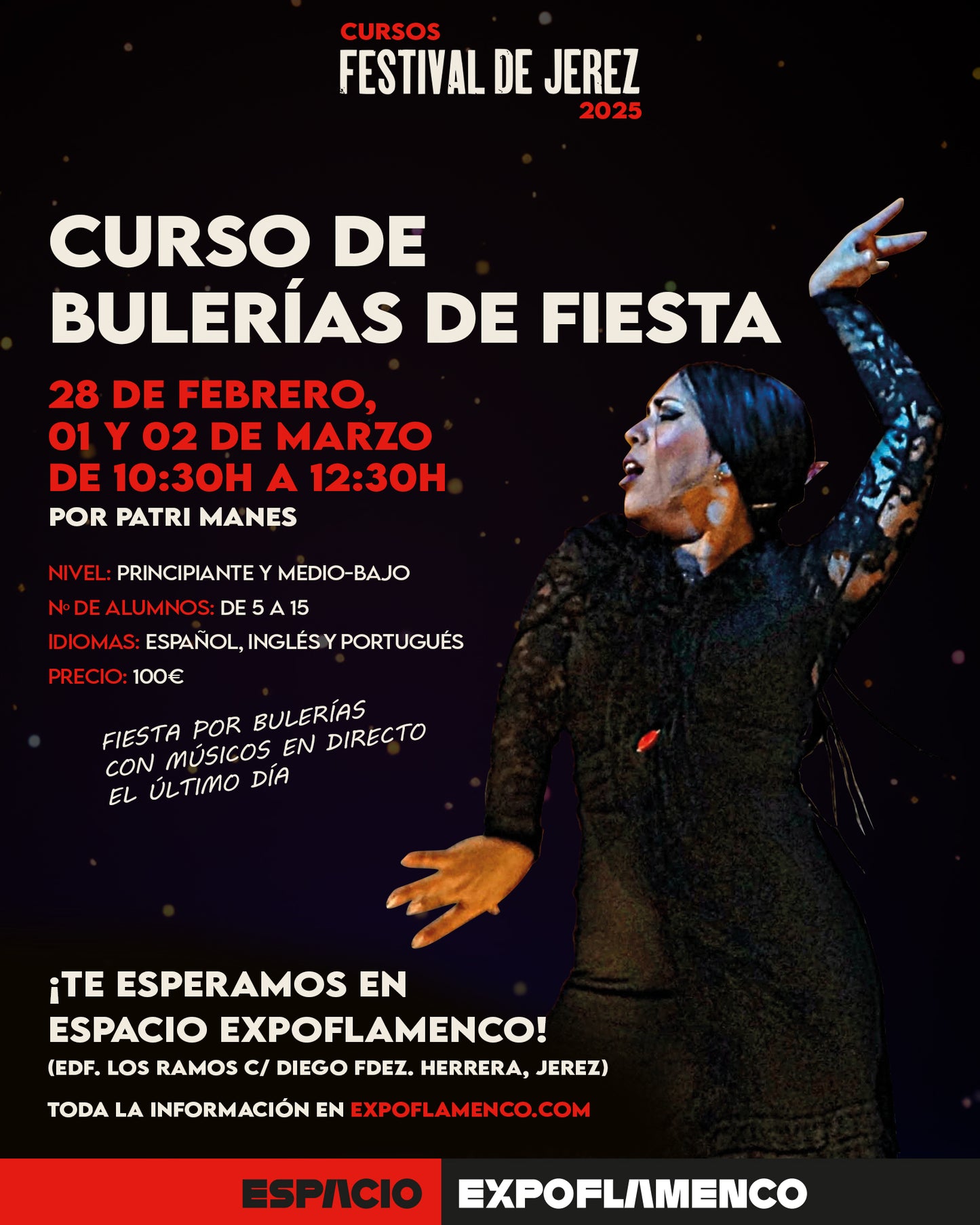 CURSO DE BULERIAS DE FIESTA - con la Bailaora Patri Manes (28, 01 y 02 marzo)