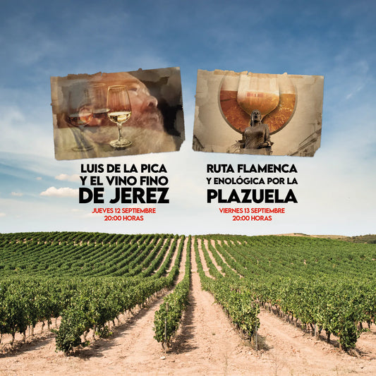 Flamenco and Wine Route through La Plazuela de Jerez