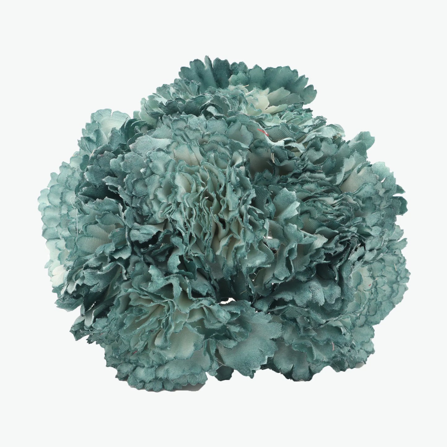 bouquet of carnations