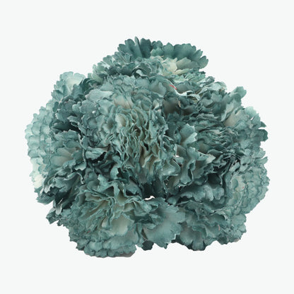 bouquet of carnations