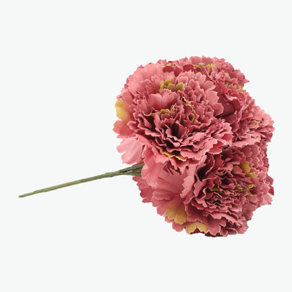 bouquet of carnations