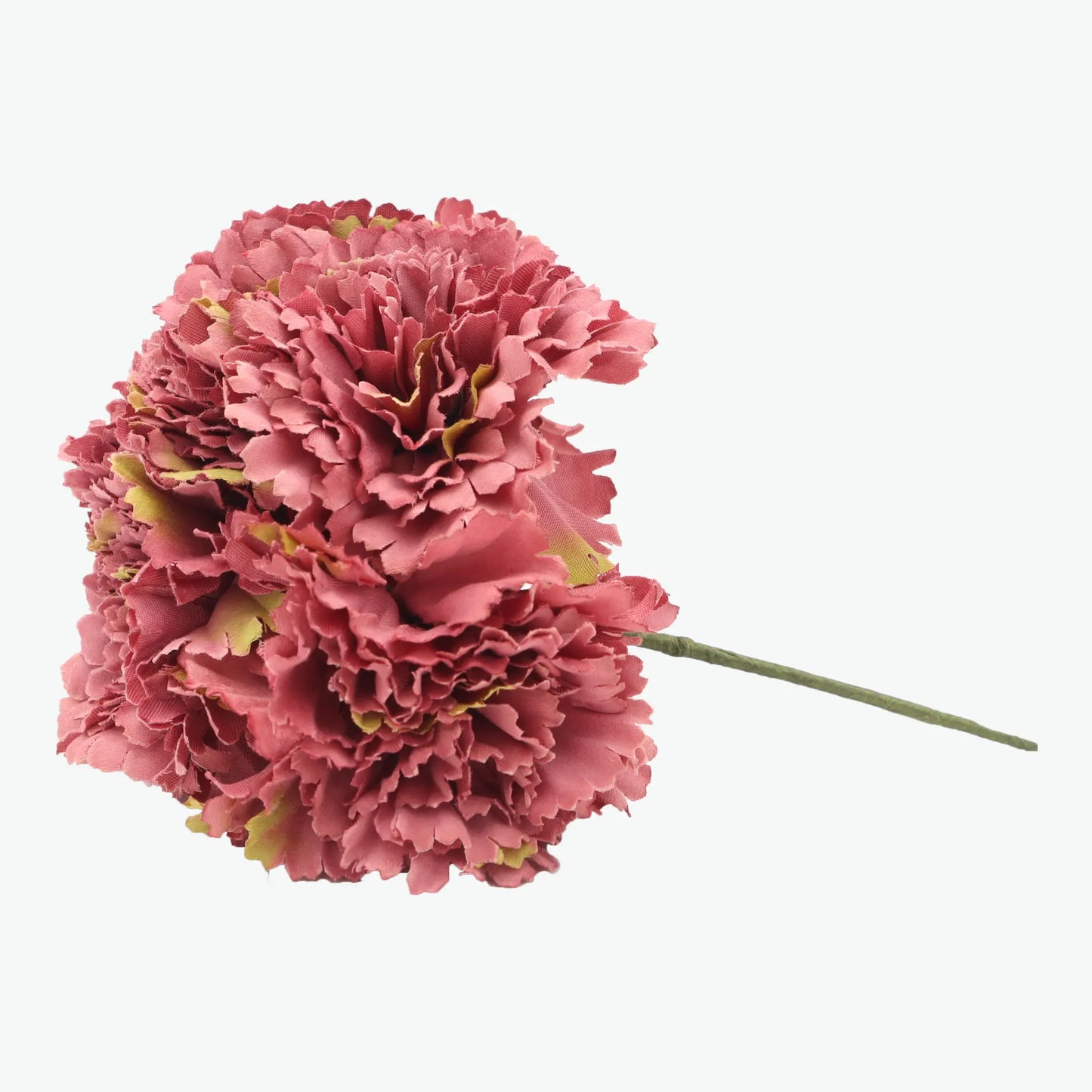 bouquet of carnations