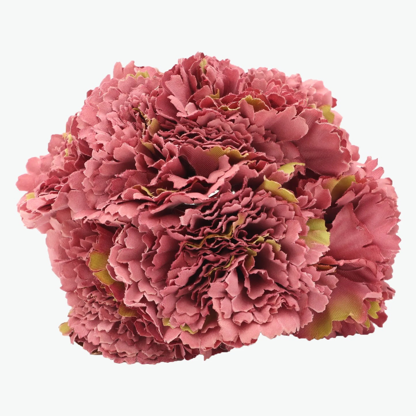 bouquet of carnations