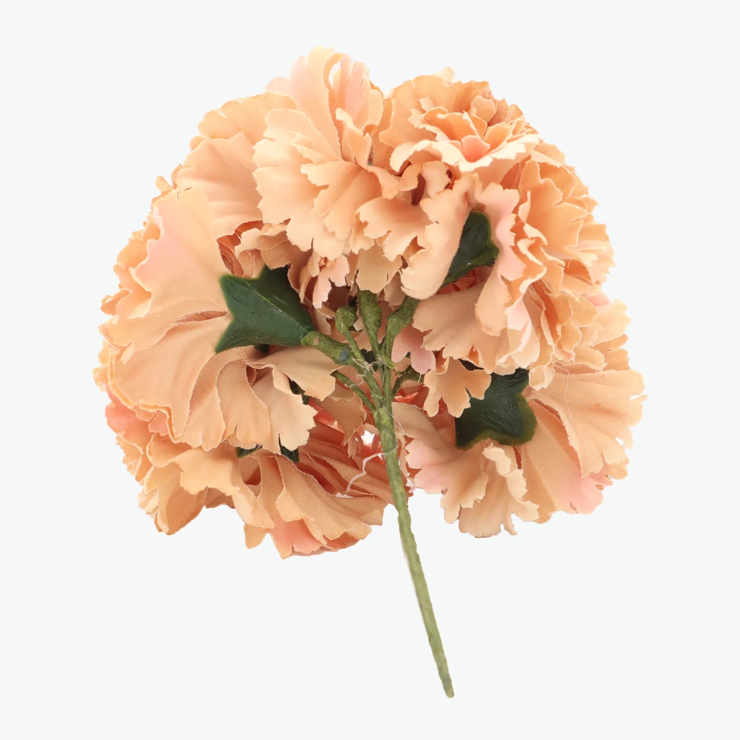 bouquet of carnations