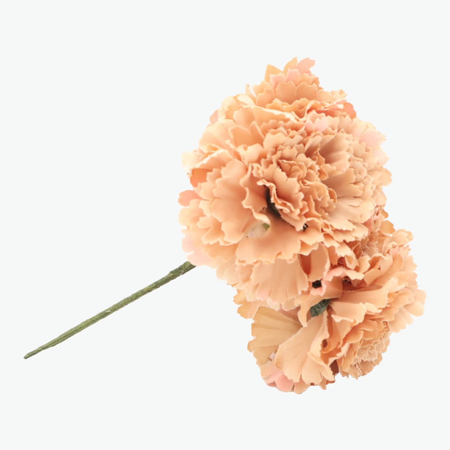 bouquet of carnations