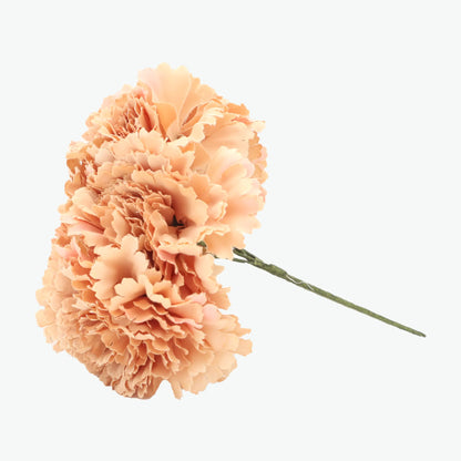 bouquet of carnations