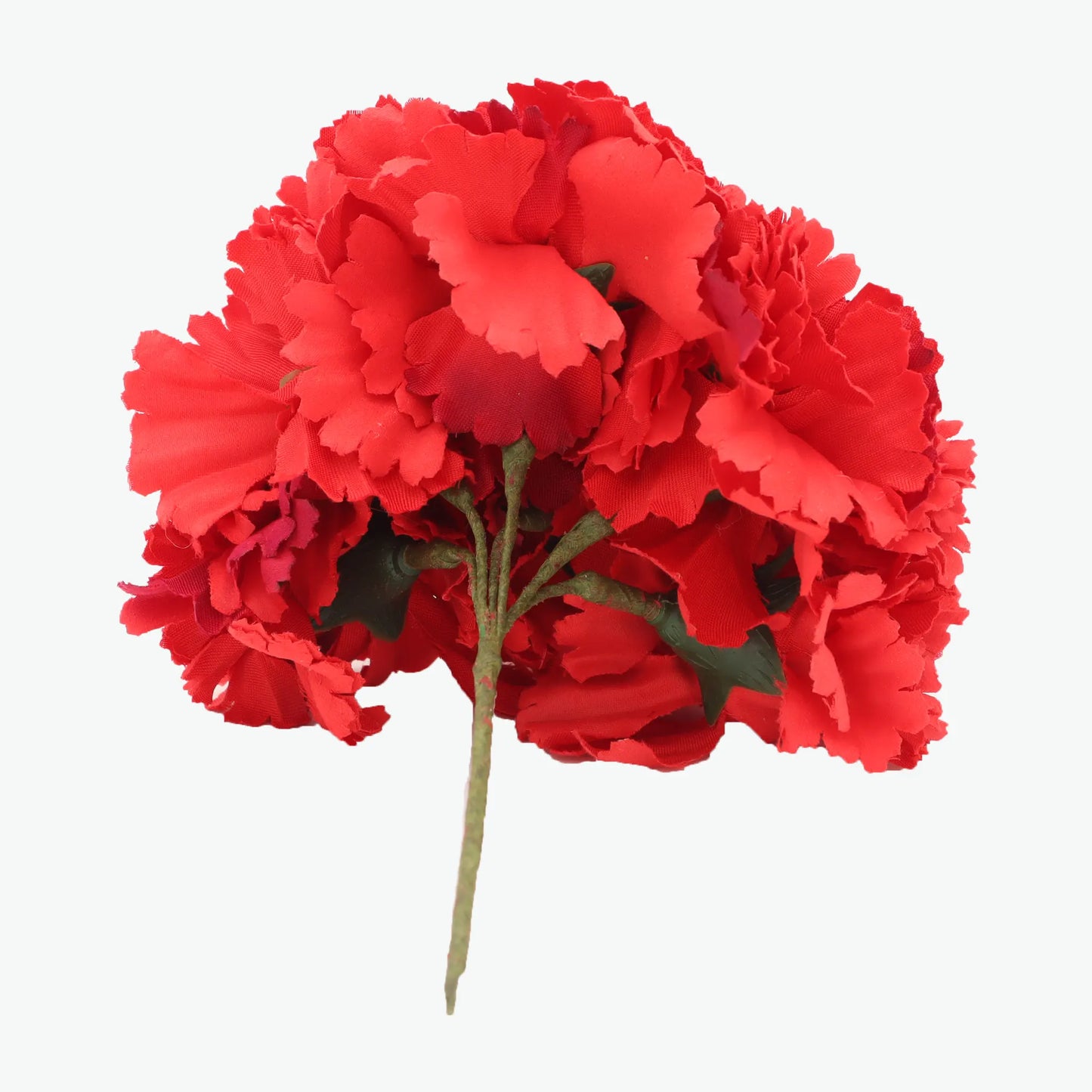 bouquet of carnations