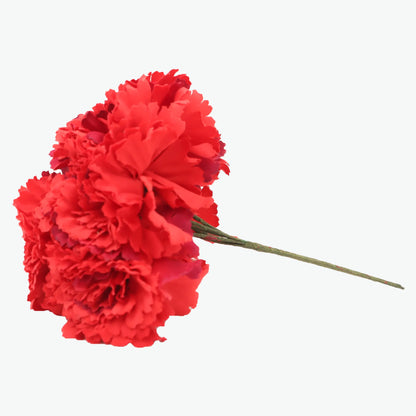 bouquet of carnations