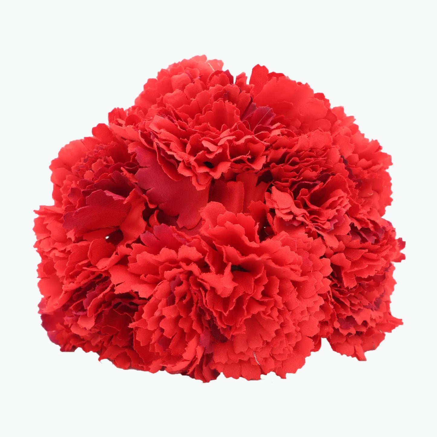 bouquet of carnations