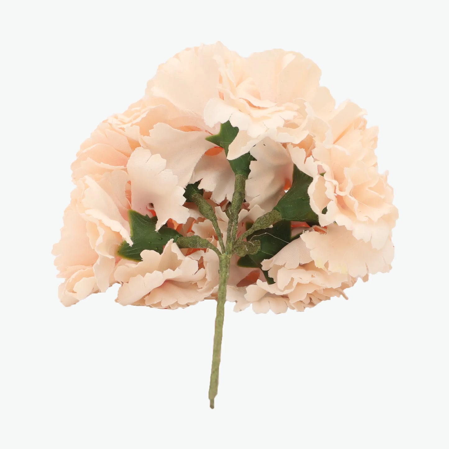 bouquet of carnations