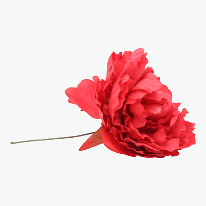 Nueva Peonia