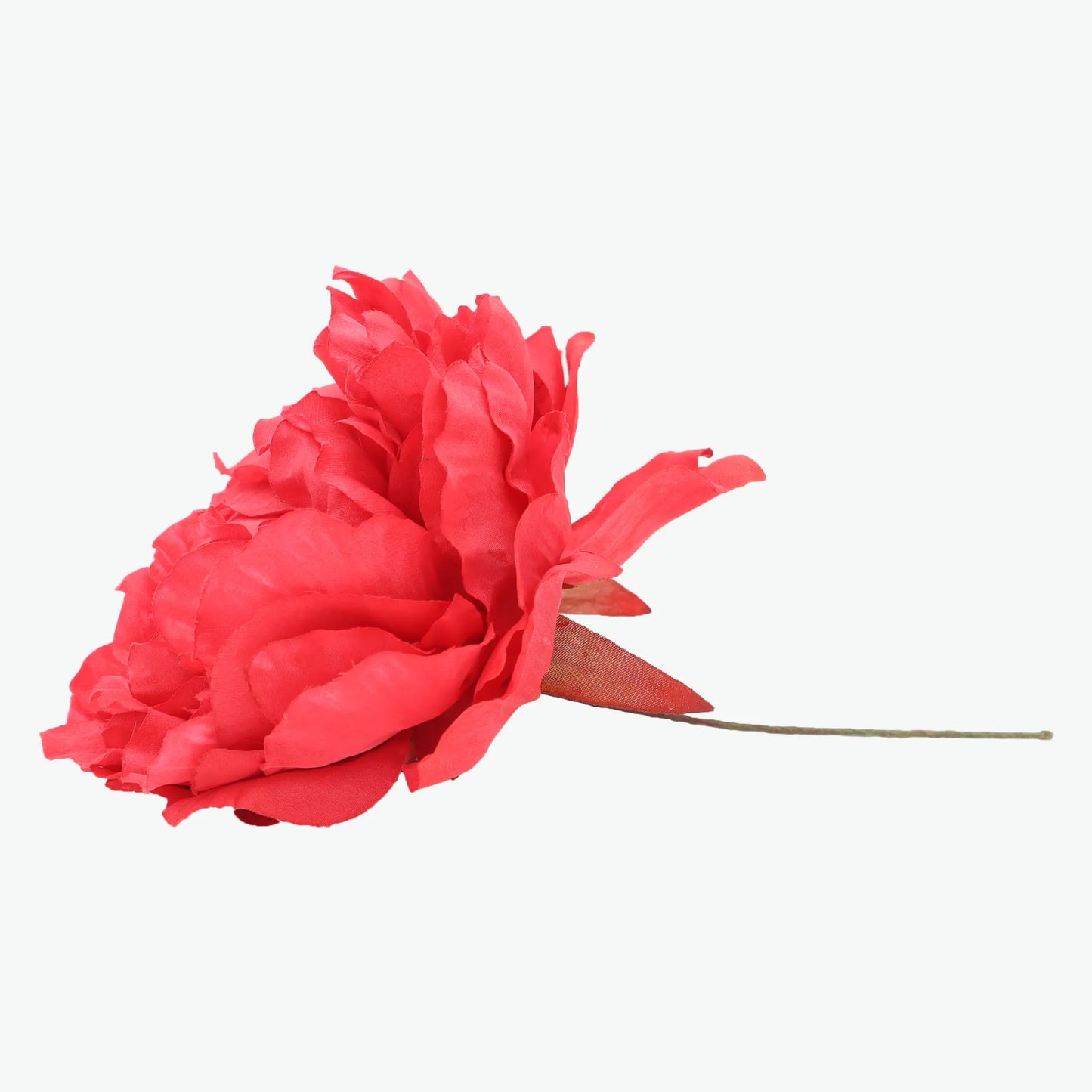 Nueva Peonia