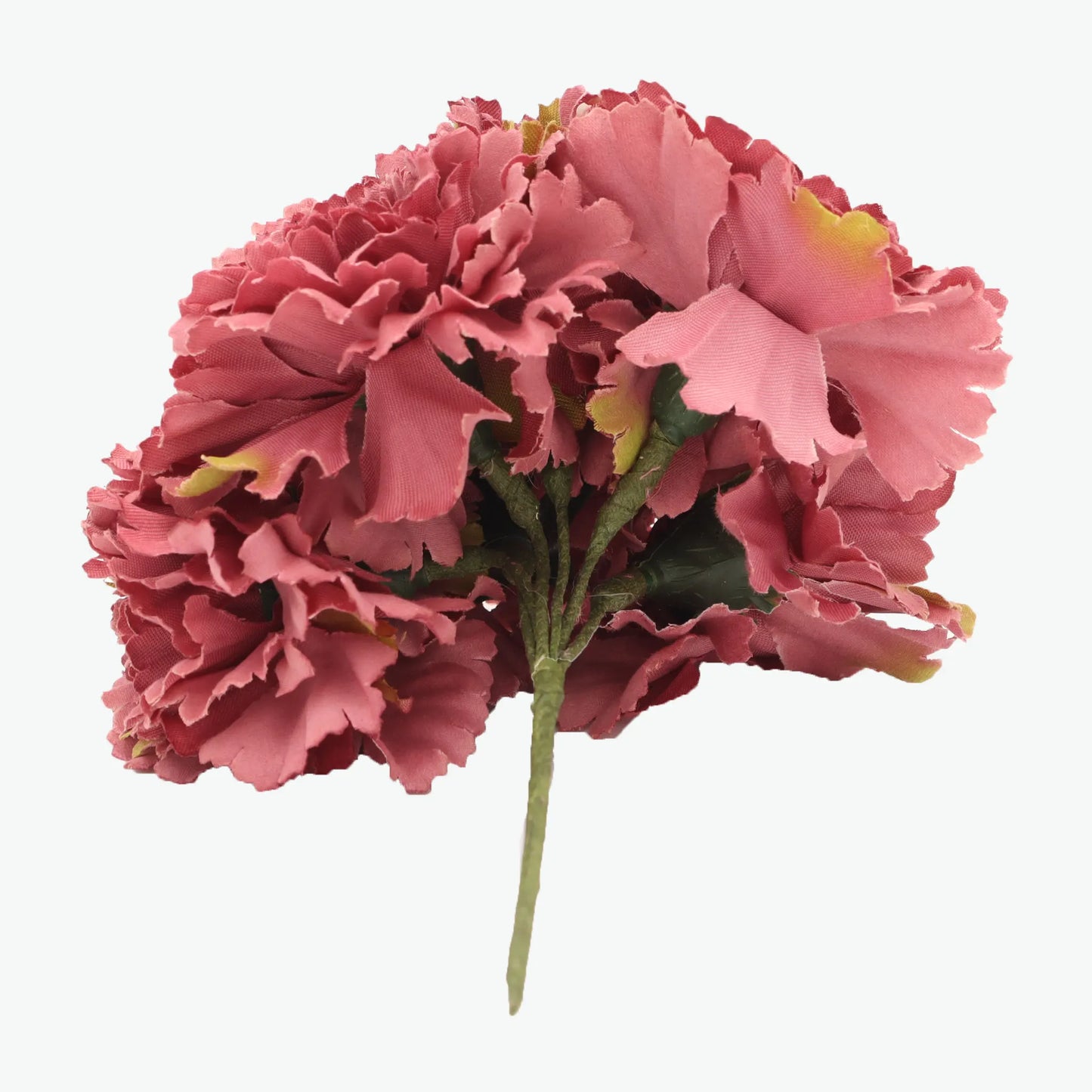 bouquet of carnations