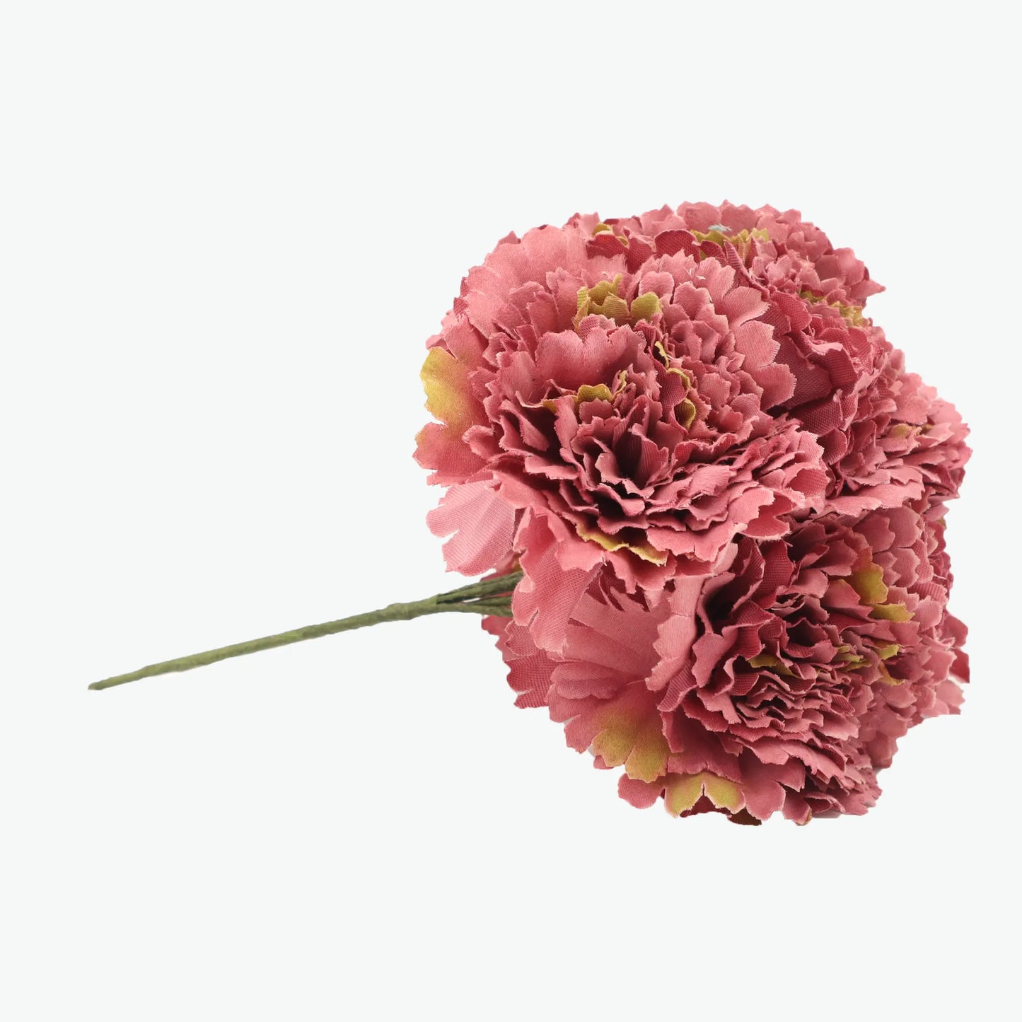 bouquet of carnations