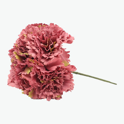 bouquet of carnations